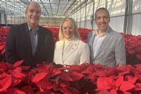 La Campagne de Poinsettias d’Aube-Lumière débute